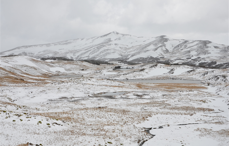 Karukinka Landscape, Tierra del Fuego CREDIT: Cristian Samper/WCS